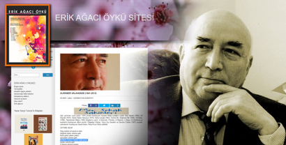 Творчество Алекпера Салахзаде на страницах турецкого литературного портала