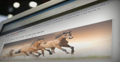 Les célèbres chevaux du Karabakh sur le portail d'information français